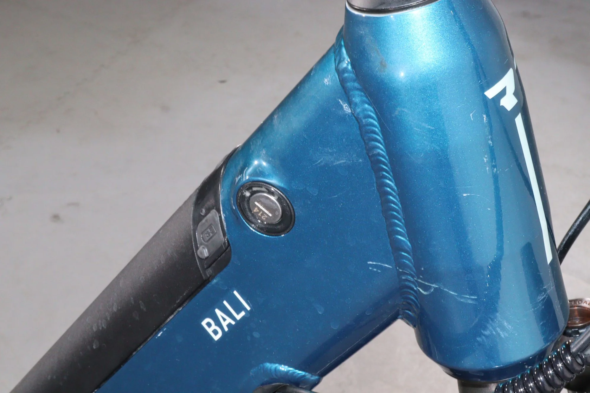 Conor Bali - Image 12
