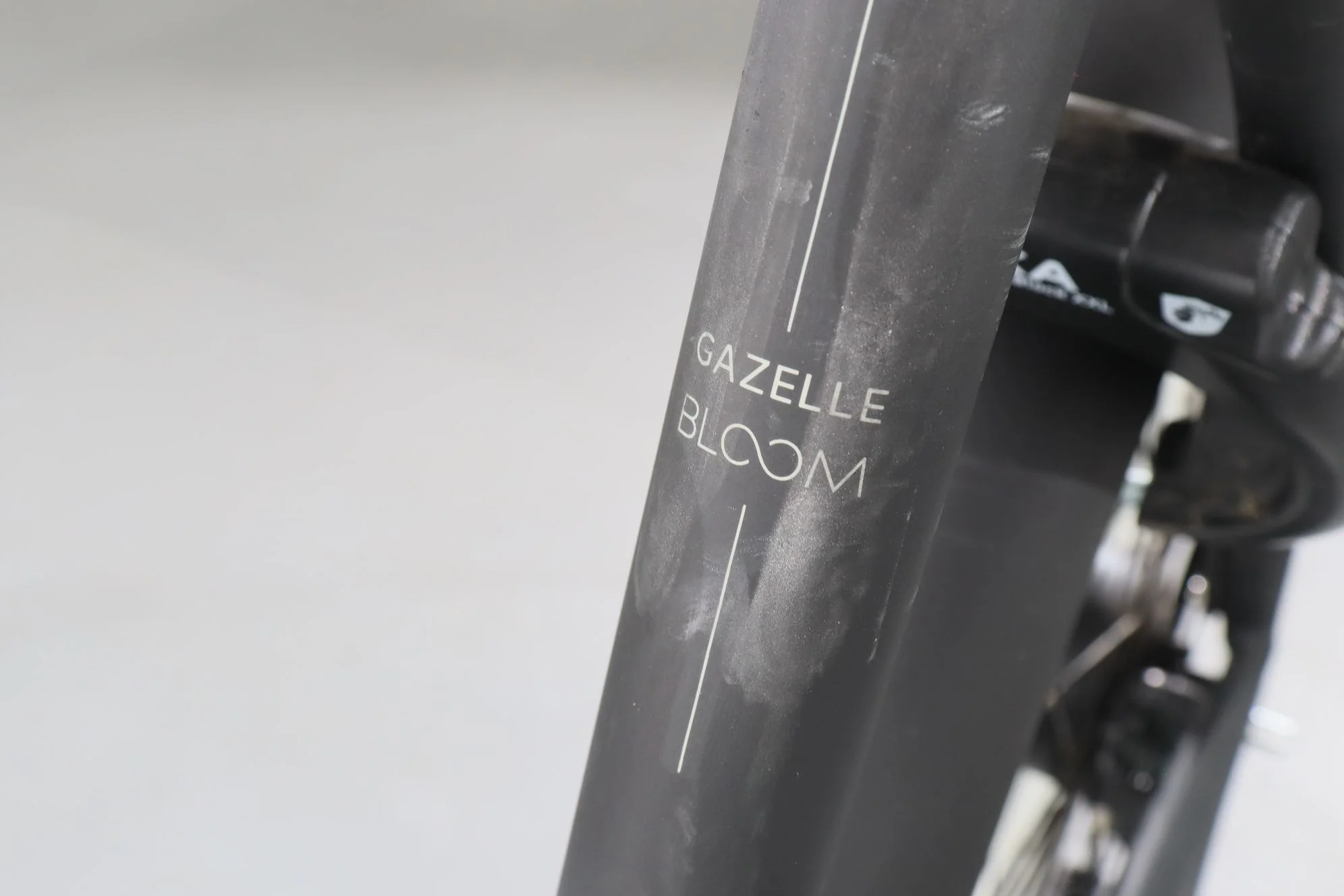 Gazelle BLOOM C380 HMS - Image 13