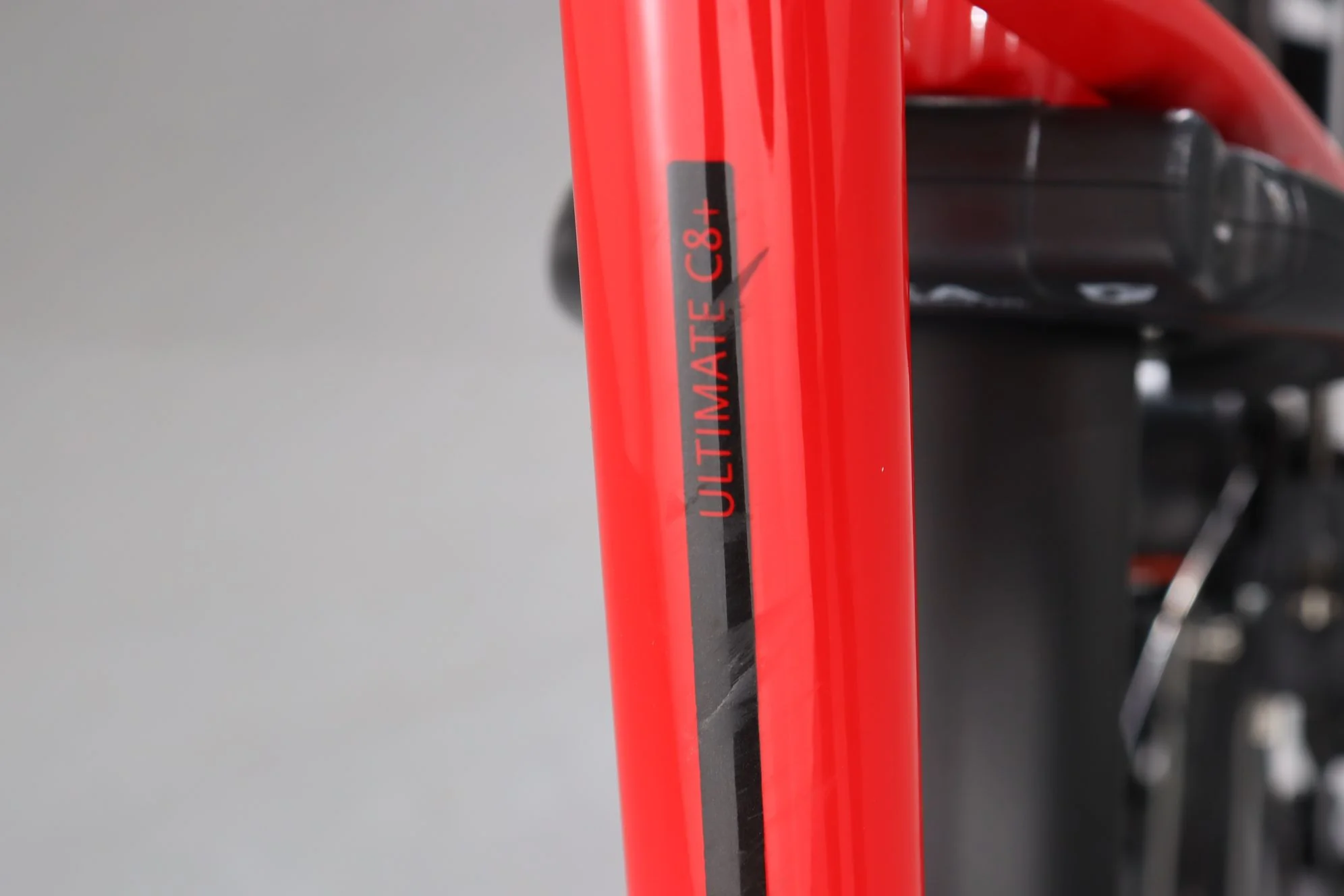 Gazelle Ultimate C8+ HMB Belt - Image 8