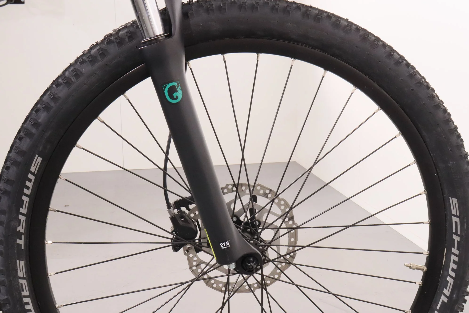 Grecos Wild E MTB - Image 10