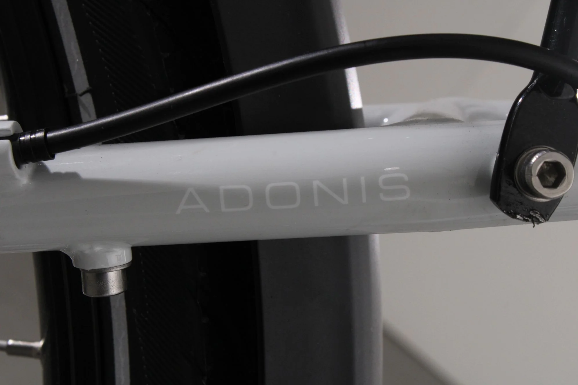 Neomouv Adonis - Image 10