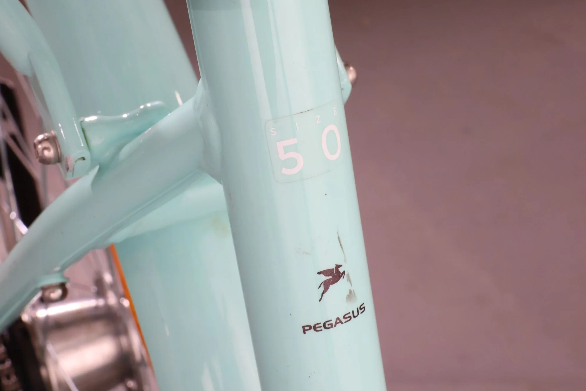 Pegasus Bici Italia 7 - Image 11