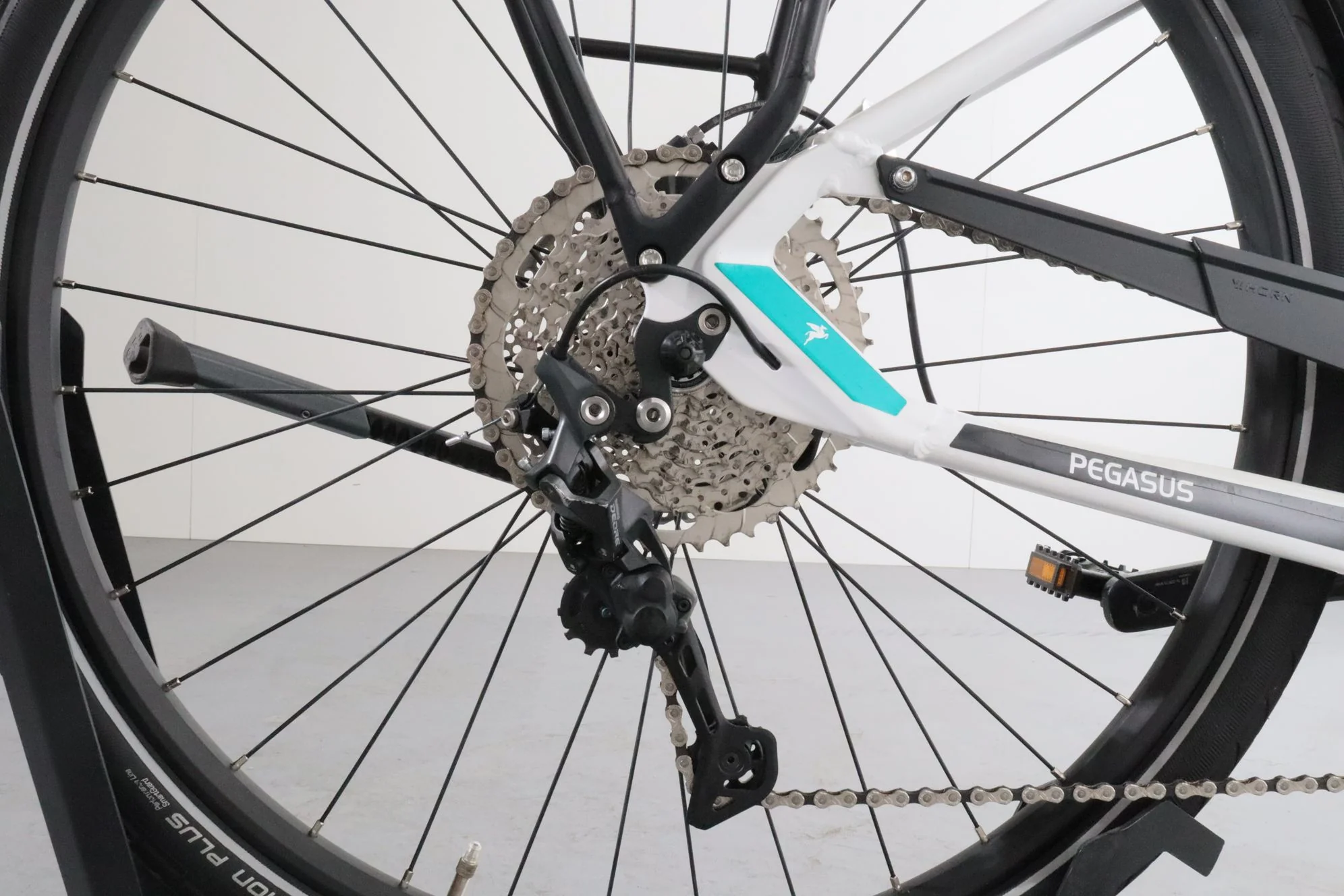 Pegasus Evo 10 - Image 9