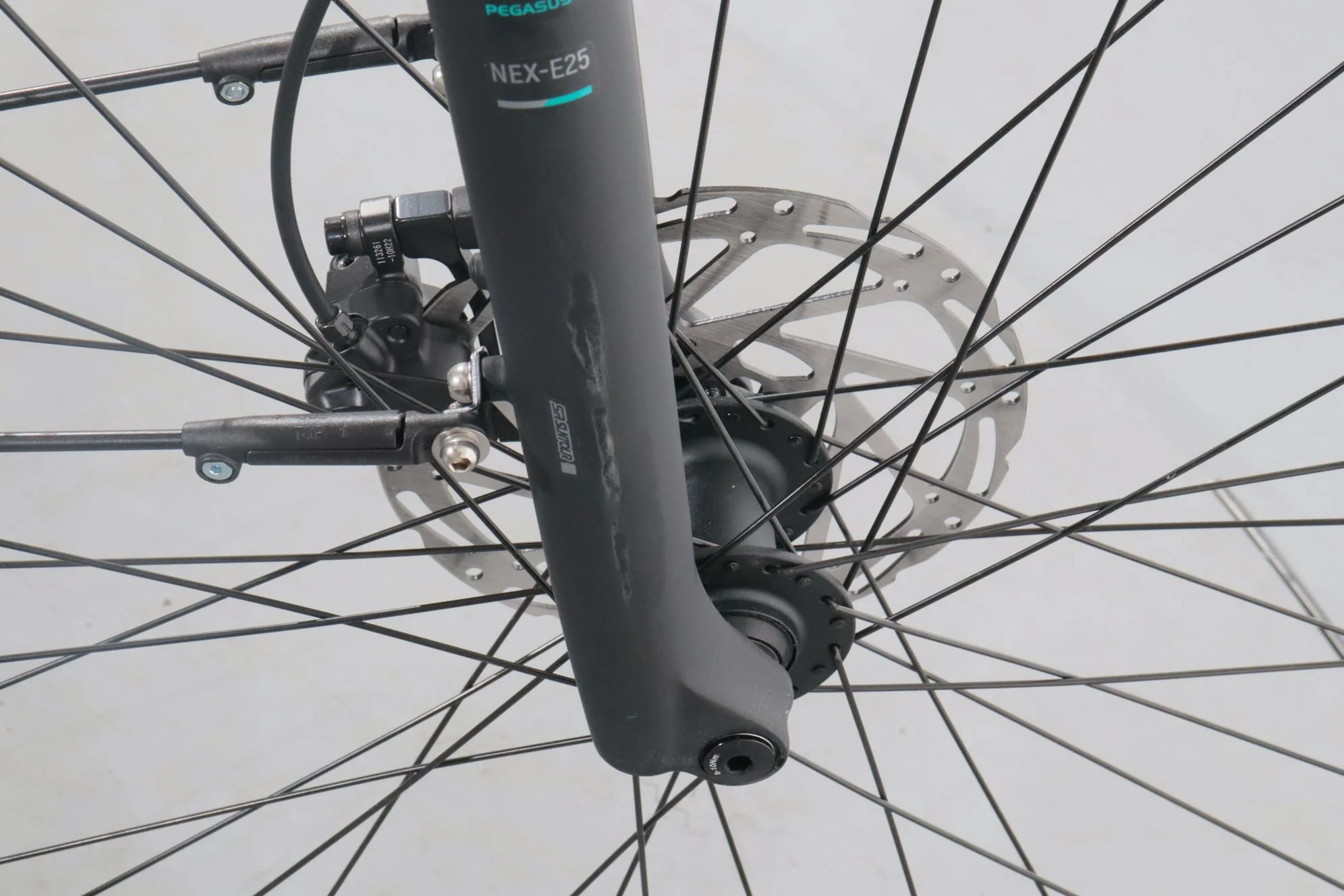 Pegasus Evo CX - Image 10