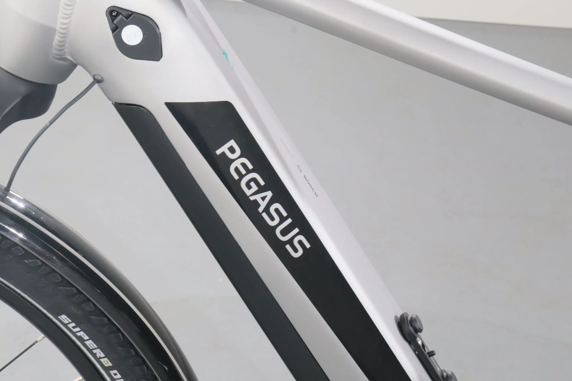 Pegasus Evo CX - Image 12
