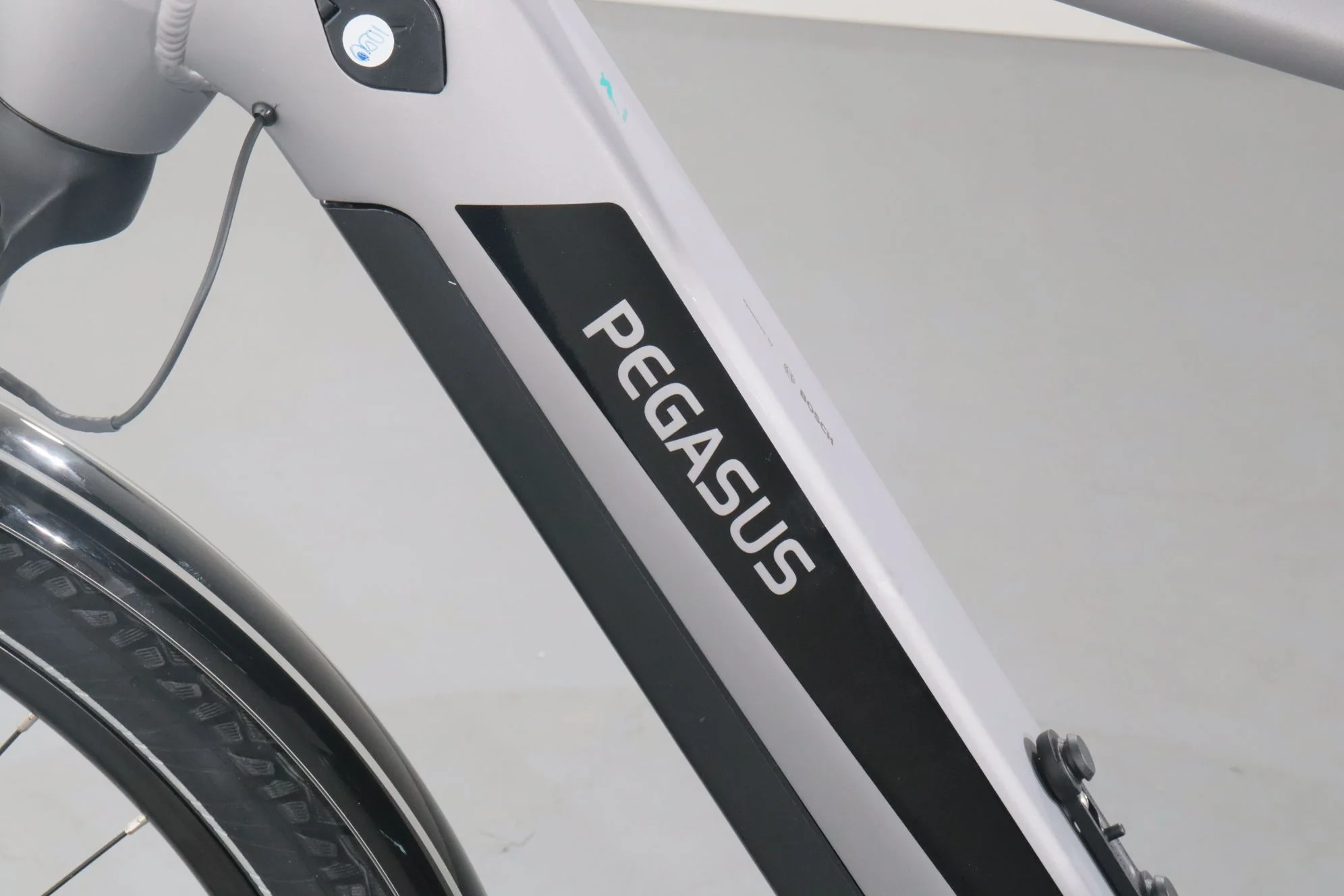 Pegasus Evo CX - Image 12