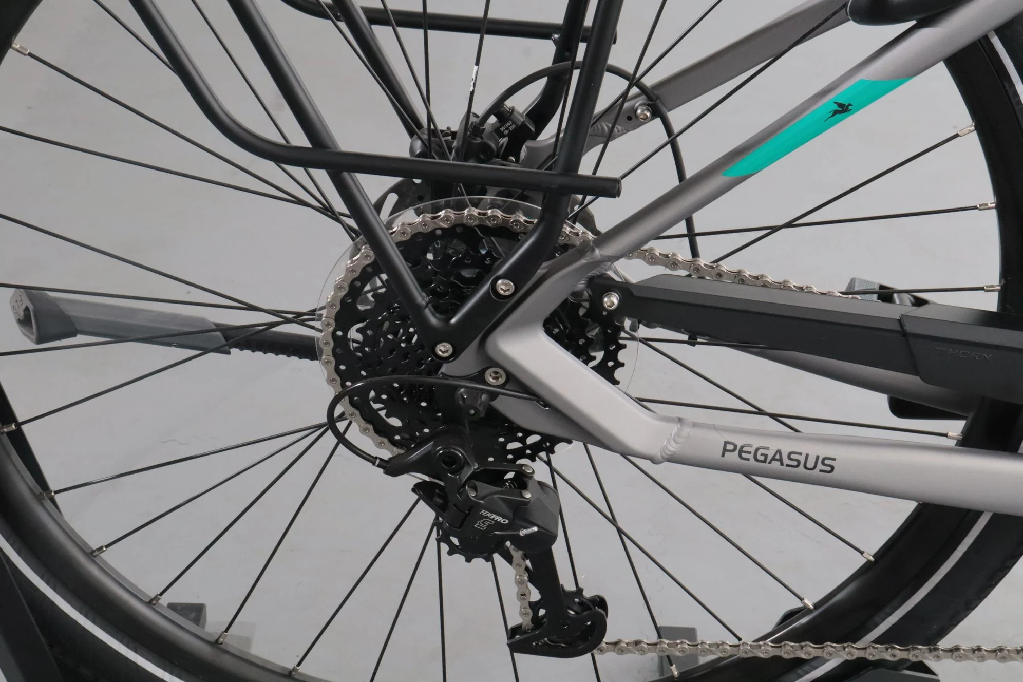 Pegasus Evo CX - Image 10