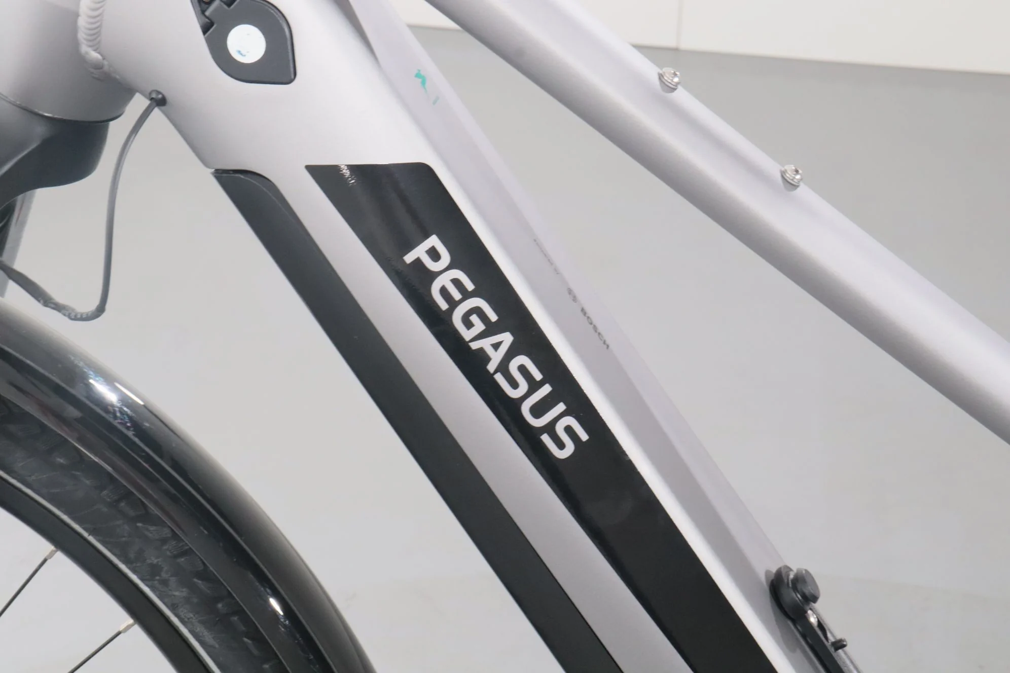 Pegasus Evo CX - Image 12