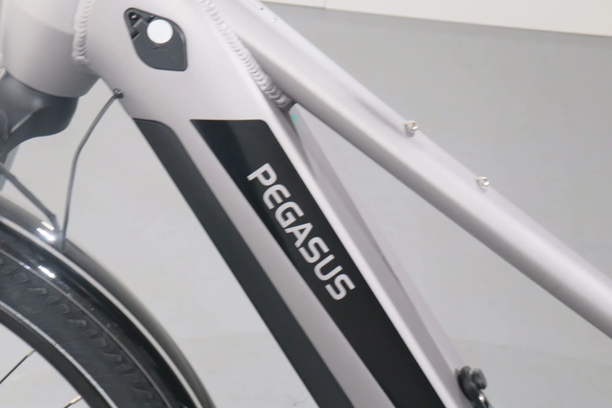 Pegasus Evo CX - Image 12