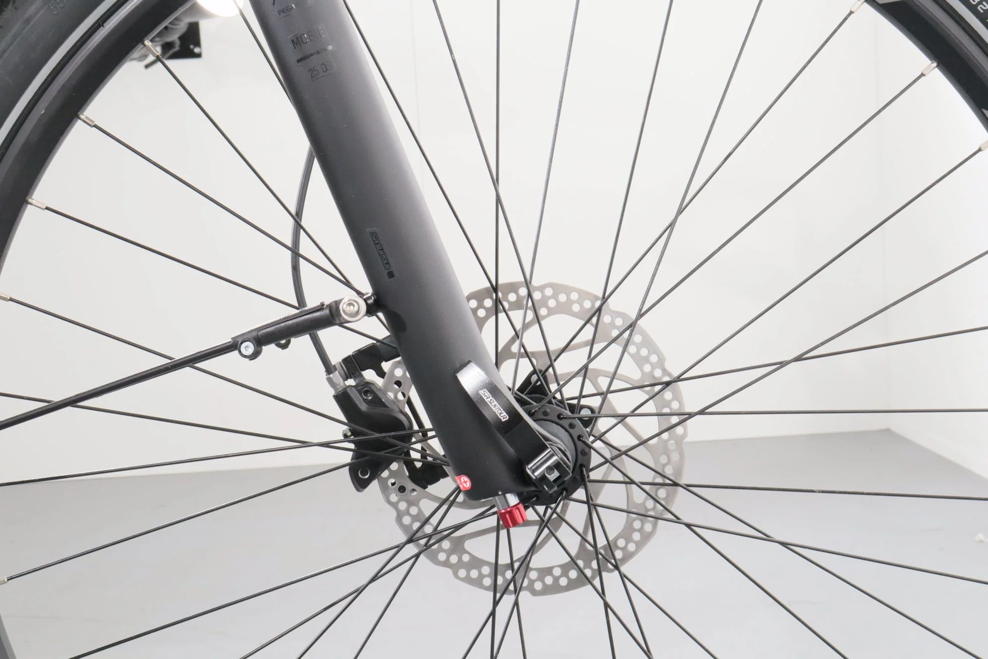 Pegasus Premio EVO 10 Lite Comfort - Image 10