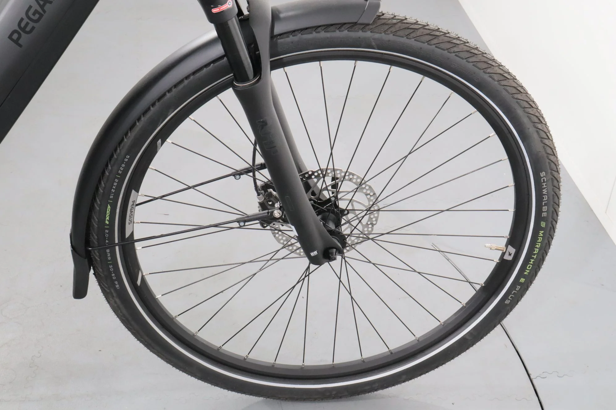 Pegasus Premio EVO 10 Lite - Image 11