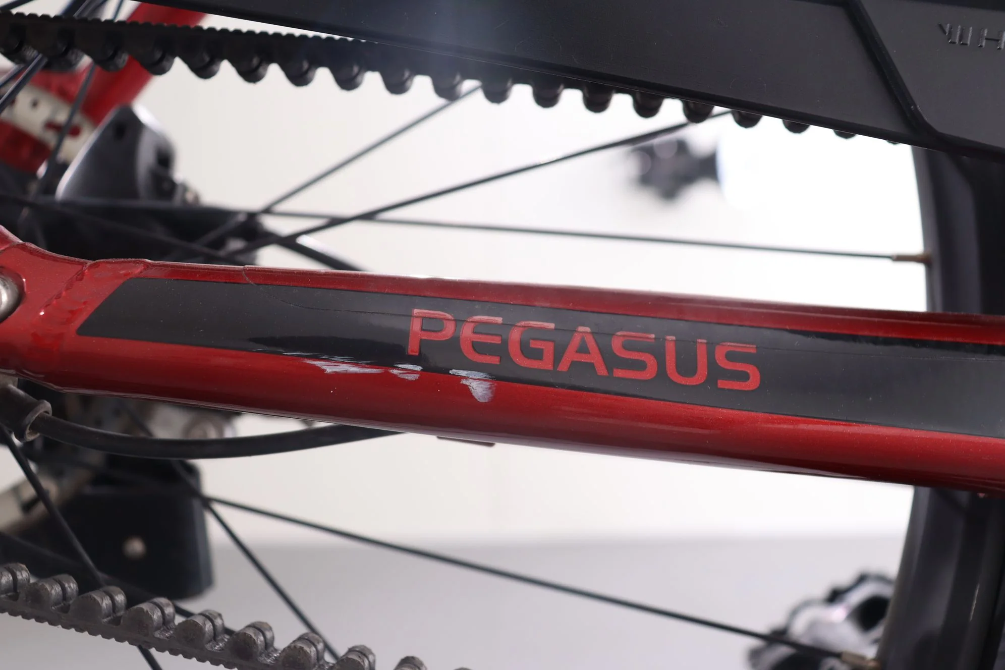 Pegasus Premio Evo 5R Belt - Image 9