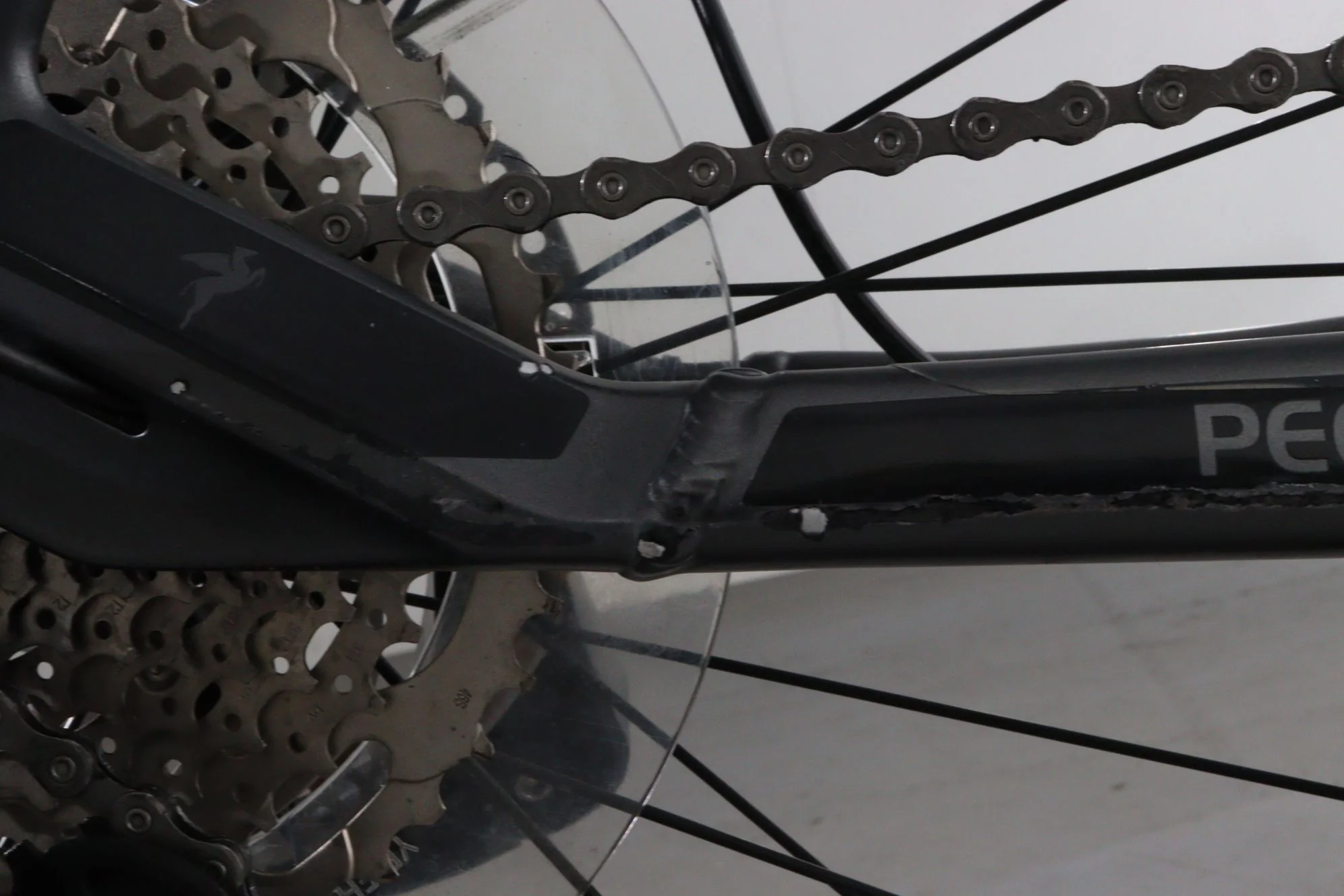 Pegasus Premio Evo Light 10 - Image 21
