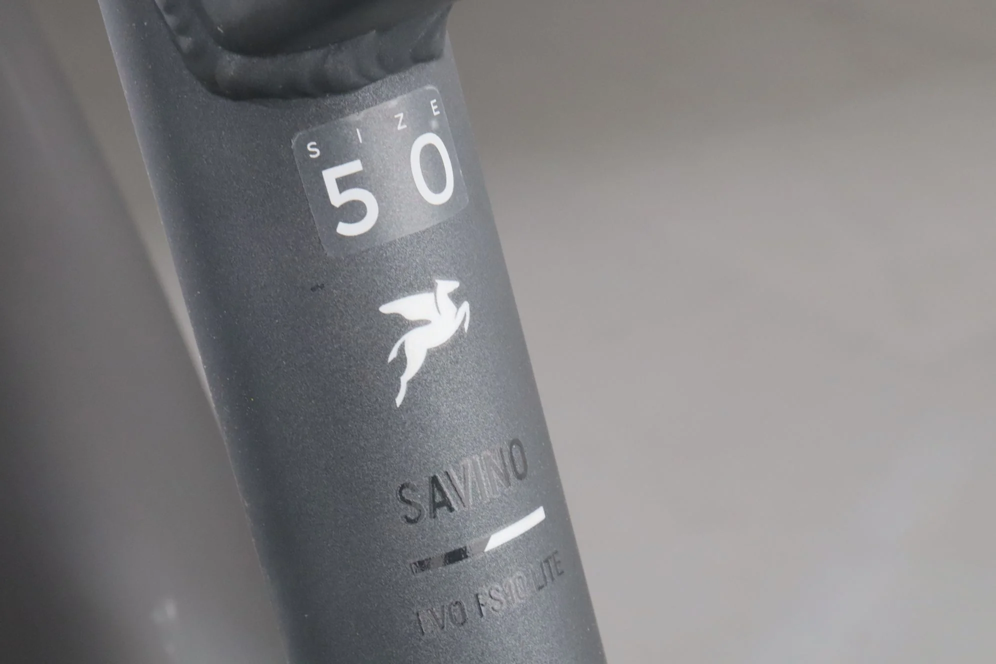 Pegasus Savino EVO FS10 Lite - Image 14