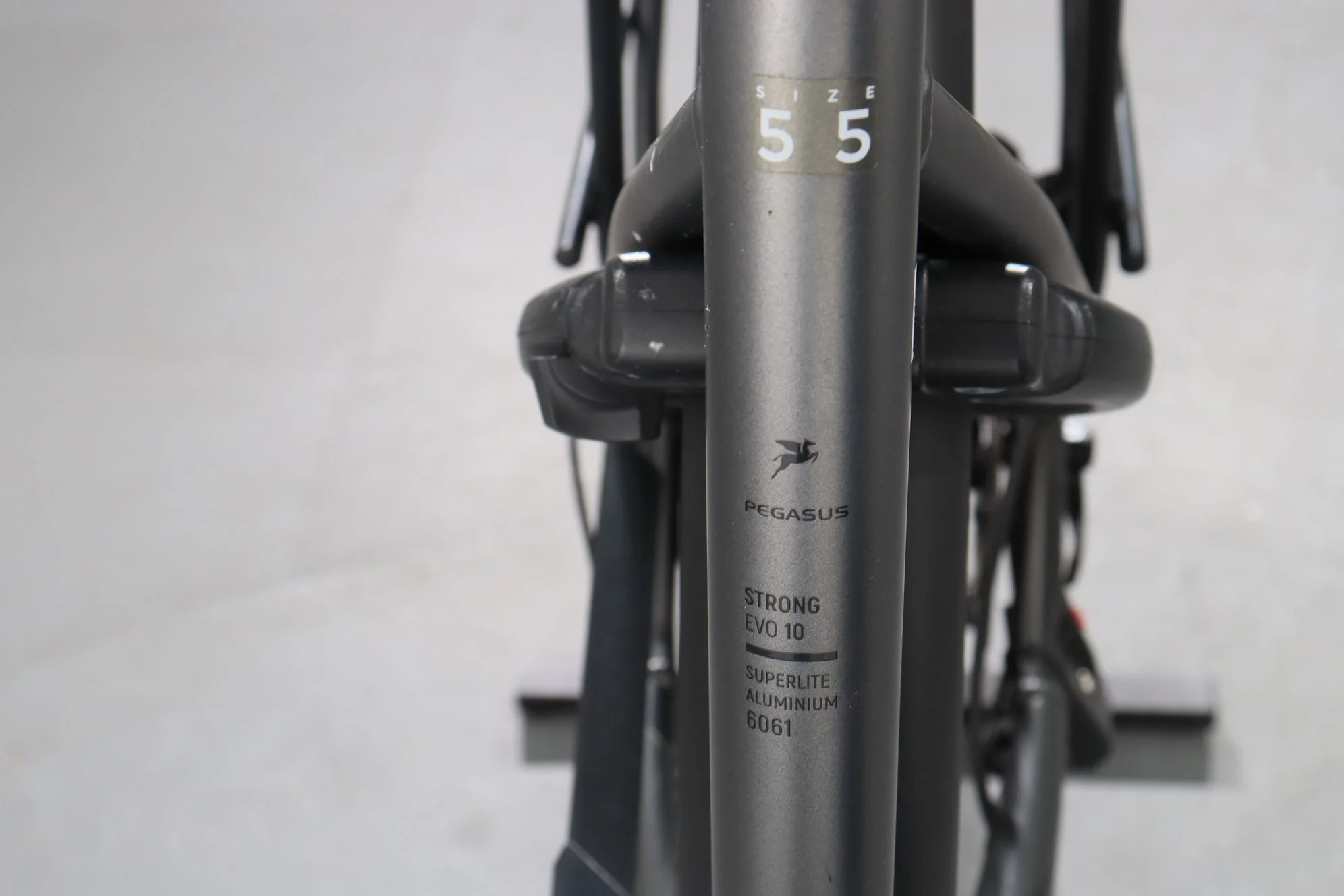 Pegasus Strong EVO 10 - Image 10