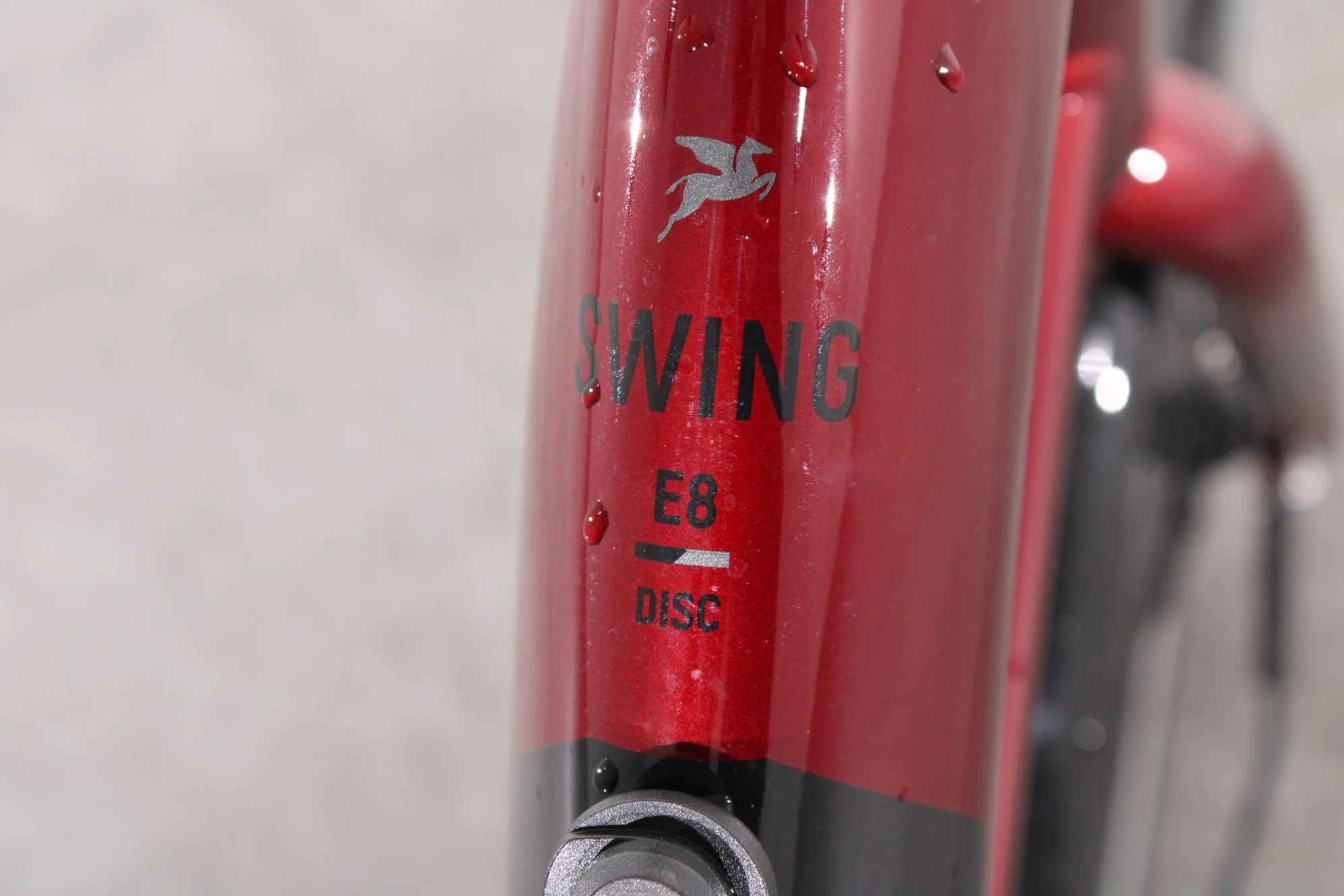 Pegasus Swing E8 - Image 11