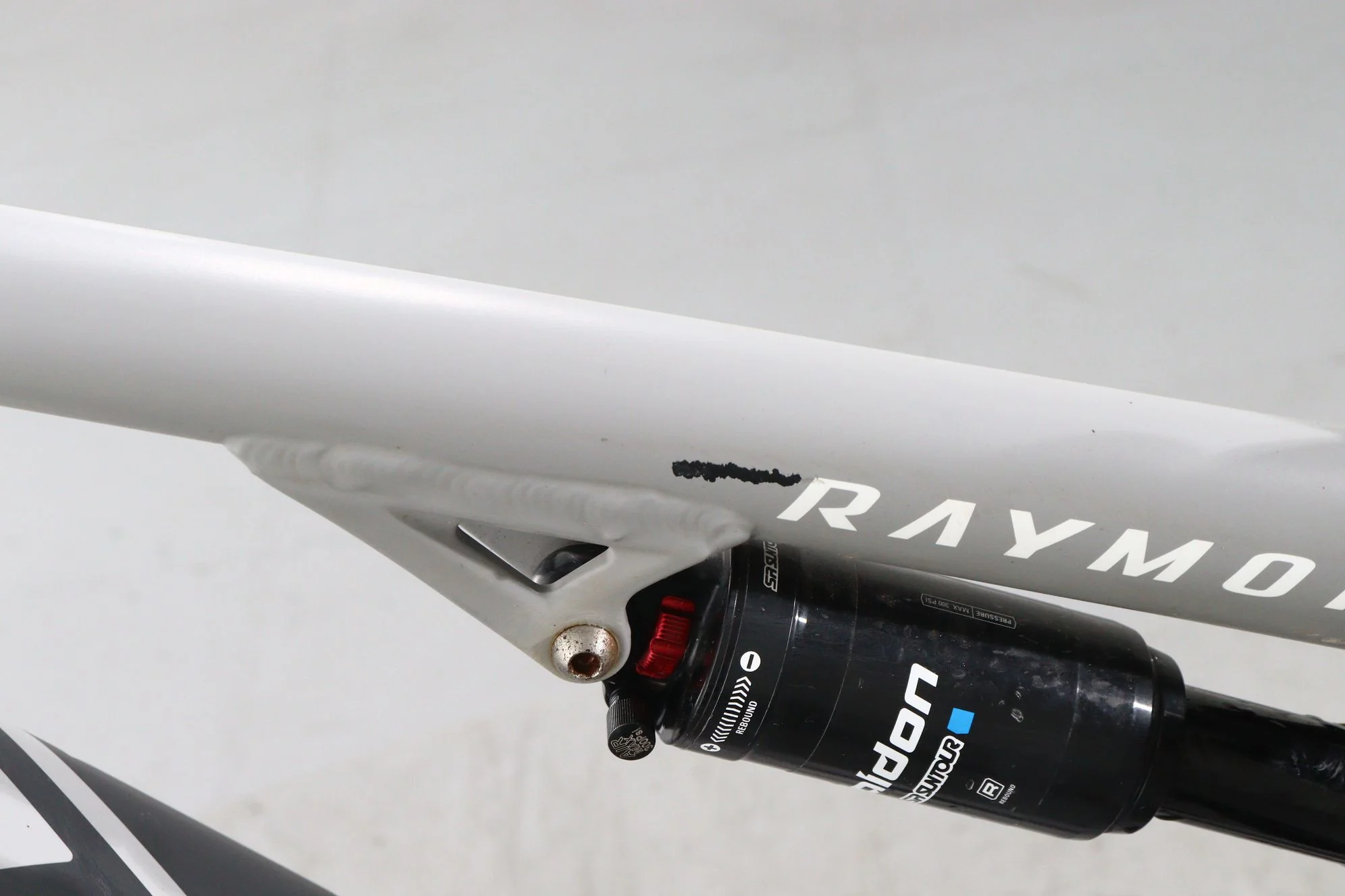 Raymon CrossRay FS E 5.0 - Image 8