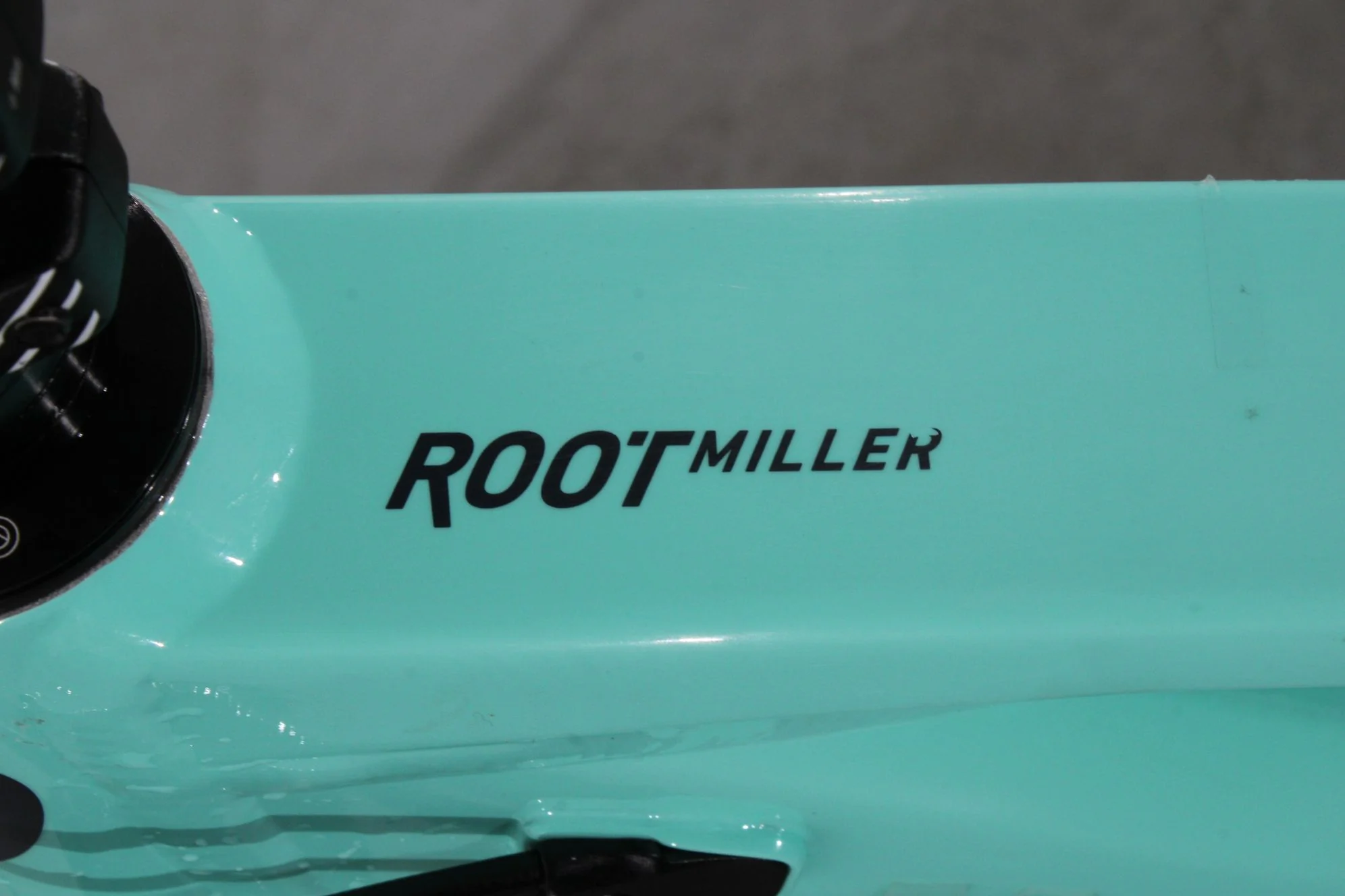 Rose Root Miller 1 - Image 9