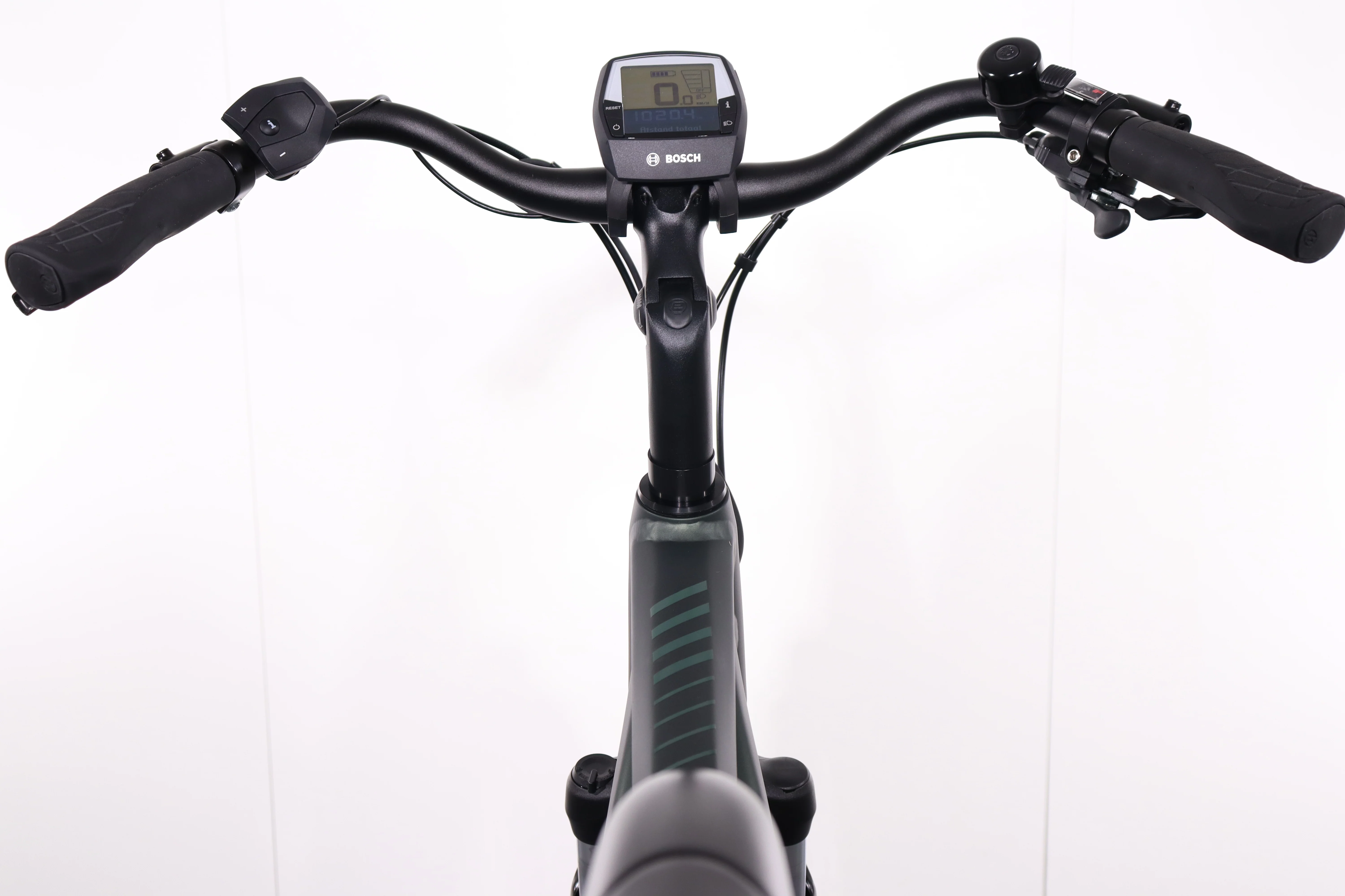 Stella Morena Premium - Image 7